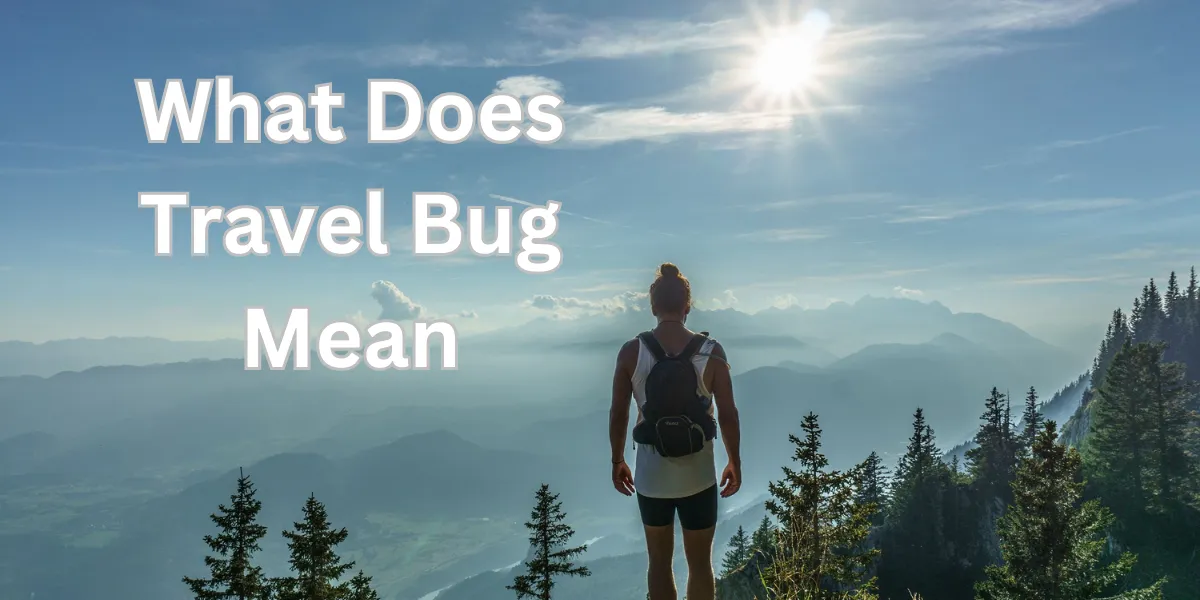 what does travel bug mean (1)