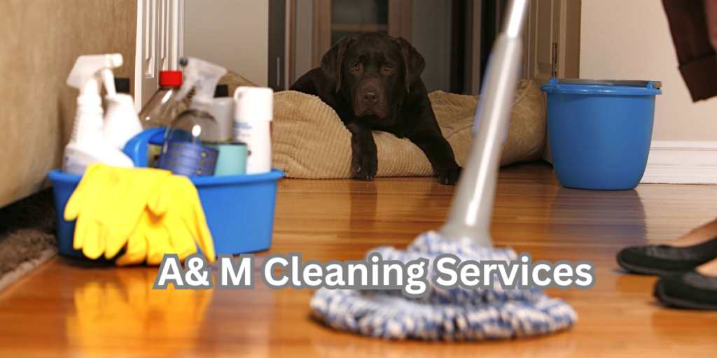 A& M Cleaning Services